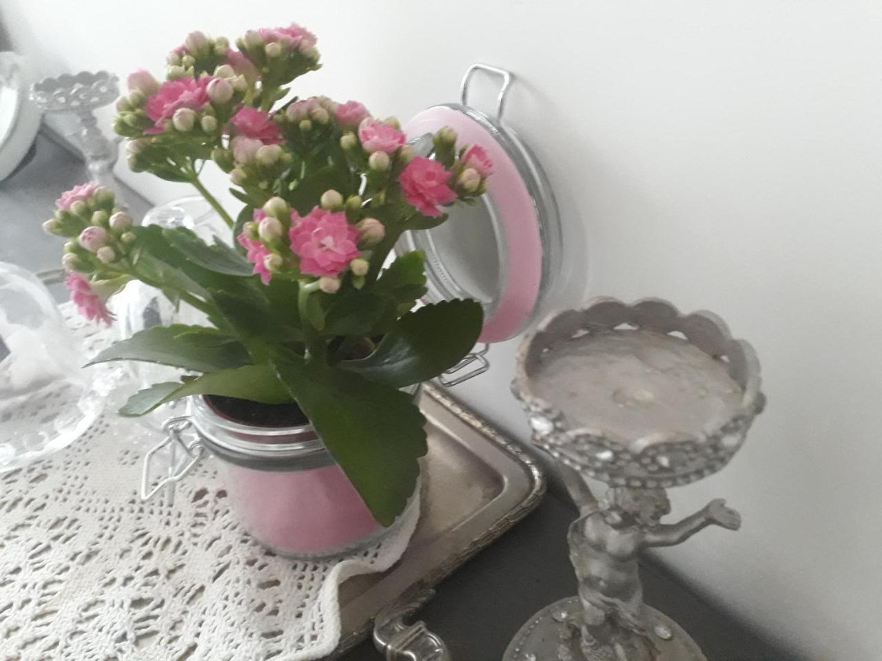 Aux Roses De L'Etang 호텔 카페스탕 외부 사진