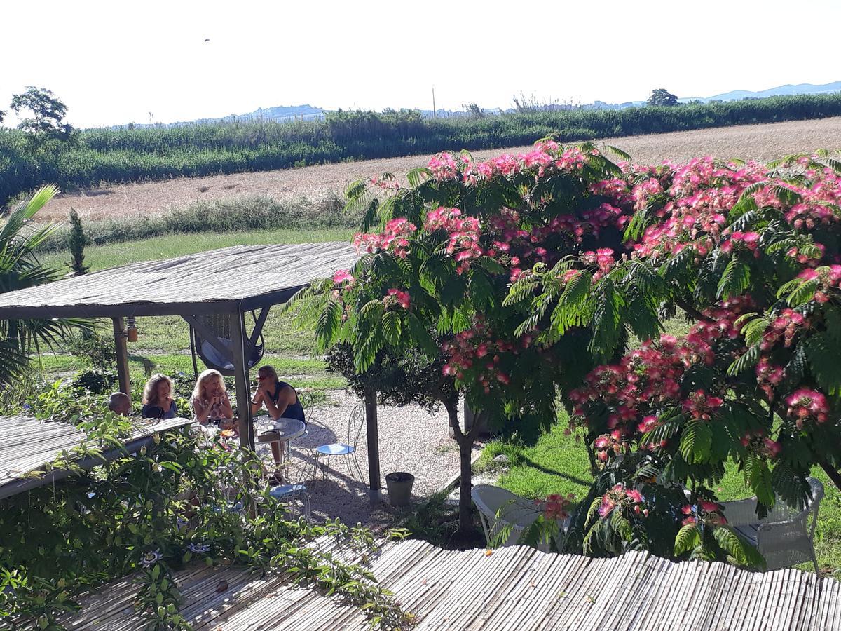 Aux Roses De L'Etang 호텔 카페스탕 외부 사진